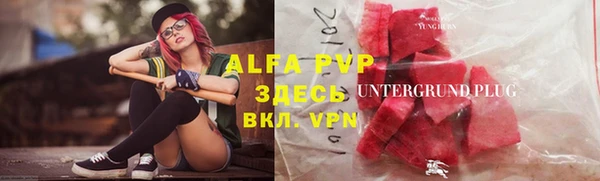 дживик Абаза