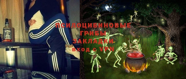 дживик Абаза