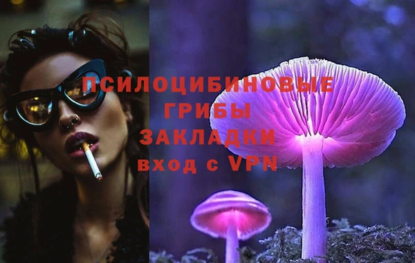 молекула духа Абинск