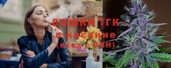 дживик Абаза