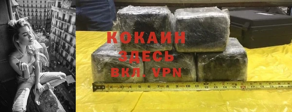 дживик Абаза