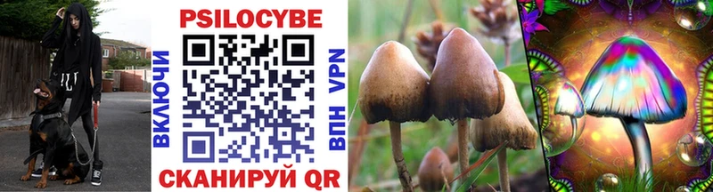 Галлюциногенные грибы Magic Shrooms гидра маркетплейс Электросталь площадка какой сайт купить цена